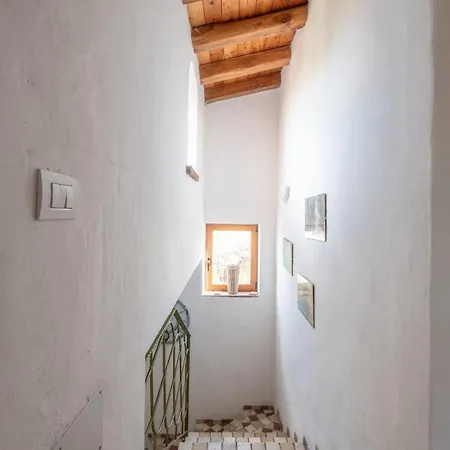 Lentischio * Tanaunella